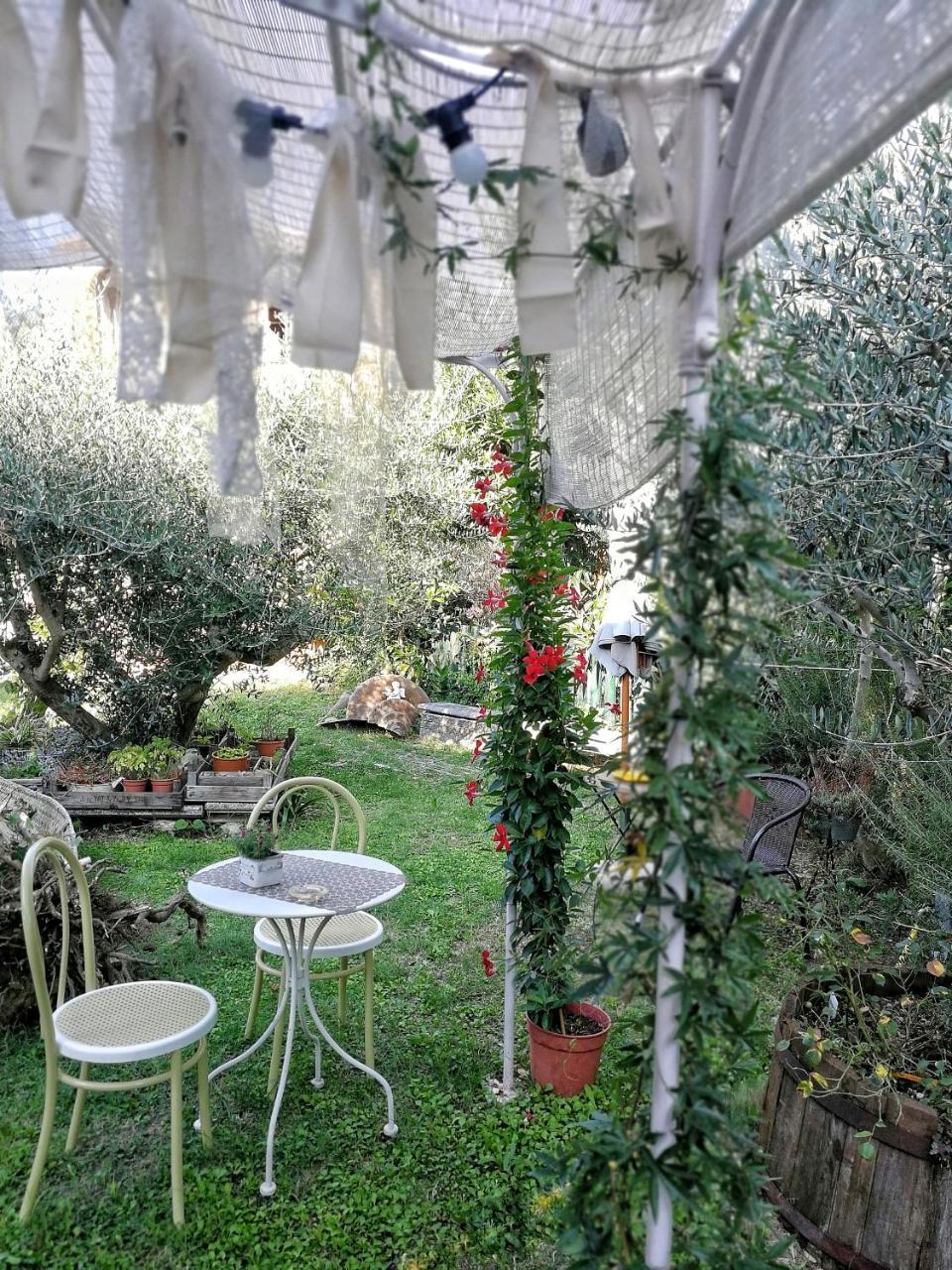 Il Giardino Dei Frati Bed & Breakfast Roncofreddo Ngoại thất bức ảnh